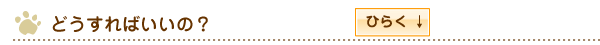 どうすればいいの？