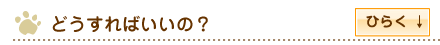 どうすればいいの？