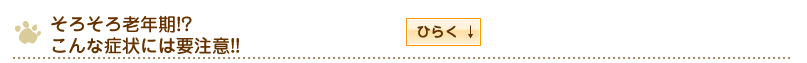 そろそろ老年期!?こんな症状には要注意!!