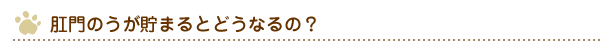 肛門のうが貯まるとどうなるの？