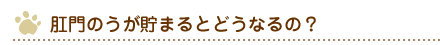 肛門のうが貯まるとどうなるの？