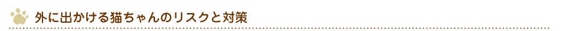 外に出かける猫ちゃんのリスクと対策