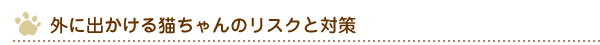 外に出かける猫ちゃんのリスクと対策v