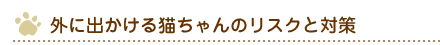 外に出かける猫ちゃんのリスクと対策