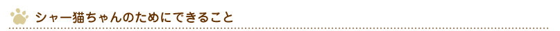 シャー猫ちゃんのためにできること