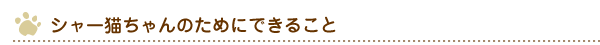 シャー猫ちゃんのためにできること