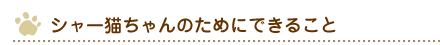 シャー猫ちゃんのためにできること