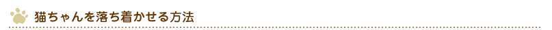猫ちゃんを落ち着かせる方法