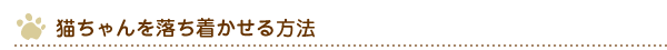猫ちゃんを落ち着かせる方法
