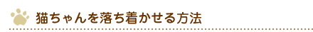 猫ちゃんを落ち着かせる方法