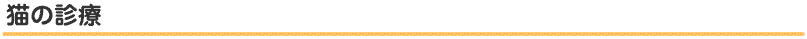 猫の診療