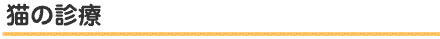 猫の診療