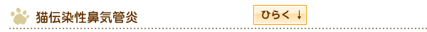 猫伝染性鼻気管炎
