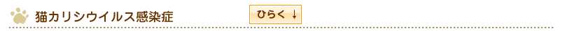 猫カリシウイルス感染症