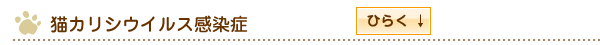 猫カリシウイルス感染症