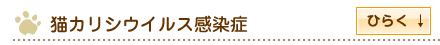 猫カリシウイルス感染症