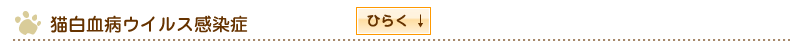 猫白血病ウイルス感染症