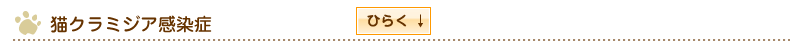 猫クラミジア感染症