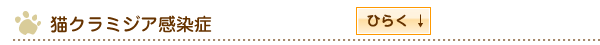 猫クラミジア感染症