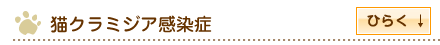 猫クラミジア感染症