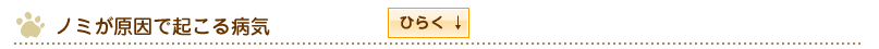 ノミが原因で起こる病気