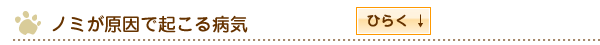 ノミが原因で起こる病気