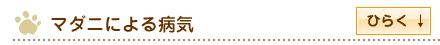 マダニによる病気