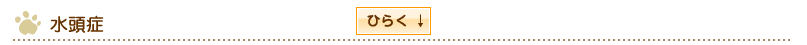 水頭症