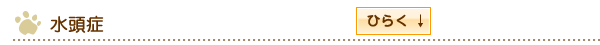 水頭症