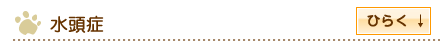 水頭症