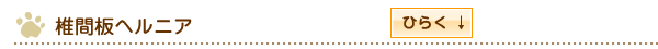 椎間板ヘルニア