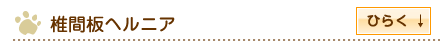 椎間板ヘルニア