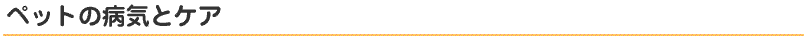 ペットの病気とケア