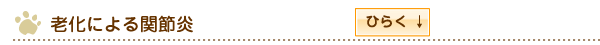 老化による関節炎