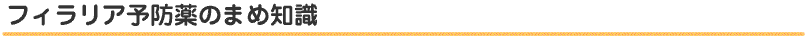 フィラリア予防薬のまめ知識