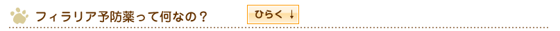フィラリア予防薬って何なの?