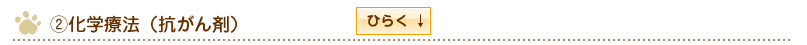 化学療法（抗がん剤）