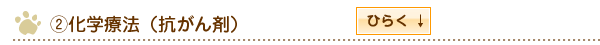 化学療法（抗がん剤）