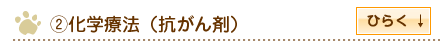 化学療法（抗がん剤）