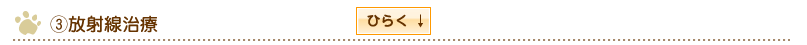 放射線治療