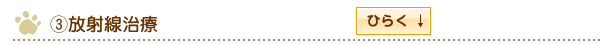 放射線治療