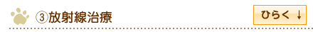 放射線治療