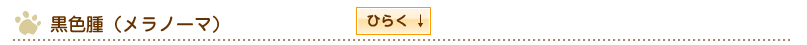 黒色腫（メラノーマ）