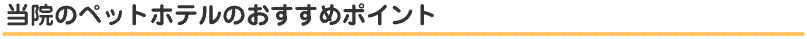 当院のペットホテルのおすすめポイント